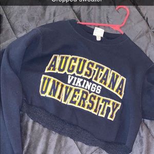 Blue long sleeve crop top